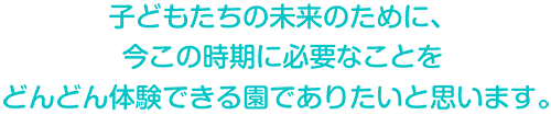 子どもたちの未来のために、
今この時期に必要なことを
どんどん体験できる園でありたいと思います。