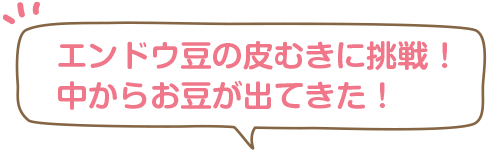 エンドウ豆の皮むきに挑戦！中からお豆が出てきた！