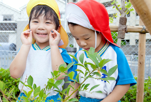 園でブルーベリー摘み