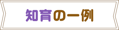 知育の一例